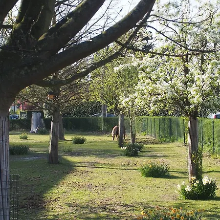 Du Croise Marcq-en-Baroeul