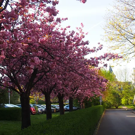 فندق Du Croise 3*