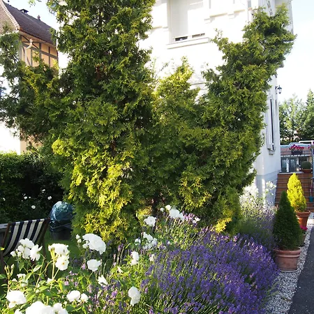 Du Croise Otel Marcq-en-Baroeul