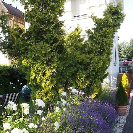 Du Croise Hotel 3*