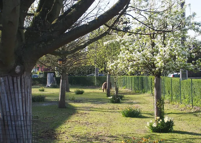 Du Croisé Marcq-en-Barœul